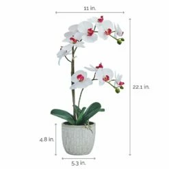 Flash Sale 💯 Mikasa® 22 Inch Faux Orchid in Geometric Pot, White and Pink 🛒 -Mikasa Sales 2023 22 inch faux orchid in geometric pot white and pink 5293722 4