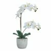 Best deal 🛒 Mikasa® 22 Inch Faux Orchid in Geometric Pot, White and Yellow 🌟 -Mikasa Sales 2023 22 inch faux orchid in geometric pot white and yellow 5293723 1