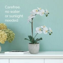 Best deal 🛒 Mikasa® 22 Inch Faux Orchid in Geometric Pot, White and Yellow 🌟 -Mikasa Sales 2023 22 inch faux orchid in geometric pot white and yellow 5293723 3