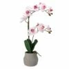 Buy 😉 Mikasa® 22 Inch Faux Orchid in Grey Pot, Watercolor Pink 😍 -Mikasa Sales 2023 22 inch faux orchid in grey pot watercolor pink 5291134 1