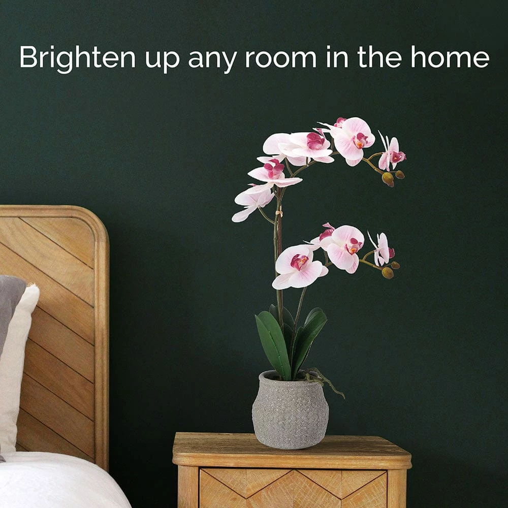 Buy 😉 Mikasa® 22 Inch Faux Orchid in Grey Pot, Watercolor Pink 😍 4 Buy 😉 Mikasa® 22 Inch Faux Orchid in Grey Pot, Watercolor Pink 😍 - Image 2