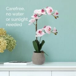 Buy 😉 Mikasa® 22 Inch Faux Orchid in Grey Pot, Watercolor Pink 😍 8 Buy 😉 Mikasa® 22 Inch Faux Orchid in Grey Pot, Watercolor Pink 😍 -Mikasa Sales 2023 22 inch faux orchid in grey pot watercolor pink 5291134 3 jpg