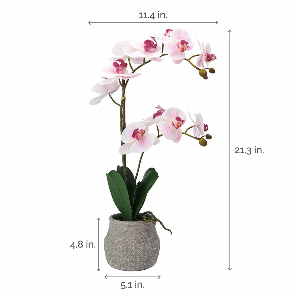 Buy 😉 Mikasa® 22 Inch Faux Orchid in Grey Pot, Watercolor Pink 😍 6 Buy 😉 Mikasa® 22 Inch Faux Orchid in Grey Pot, Watercolor Pink 😍 - Image 4