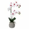 New 👏 Mikasa® 22 Inch Faux Orchid in Grey Pot, White and Pink 😉 2 New 👏 Mikasa® 22 Inch Faux Orchid in Grey Pot, White and Pink 😉 -Mikasa Sales 2023 22 inch faux orchid in grey pot white and pink 5291135 1
