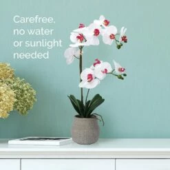 New 👏 Mikasa® 22 Inch Faux Orchid in Grey Pot, White and Pink 😉 -Mikasa Sales 2023 22 inch faux orchid in grey pot white and pink 5291135 3