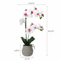 New 👏 Mikasa® 22 Inch Faux Orchid in Grey Pot, White and Pink 😉 -Mikasa Sales 2023 22 inch faux orchid in grey pot white and pink 5291135 4