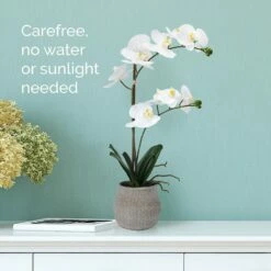 Coupon 🥰 Mikasa® 22 Inch Faux Orchid in Grey Pot, White and Yellow ⭐ -Mikasa Sales 2023 22 inch faux orchid in grey pot white and yellow 5291136 3