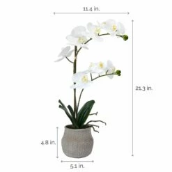 Coupon 🥰 Mikasa® 22 Inch Faux Orchid in Grey Pot, White and Yellow ⭐ -Mikasa Sales 2023 22 inch faux orchid in grey pot white and yellow 5291136 4