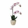Best Sale 💯 Mikasa® 22 Inch Faux Orchid in Rustic Pot, Pink Spot 😉 -Mikasa Sales 2023 22 inch faux orchid in rustic pot pink spot 5291143 1