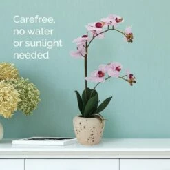 Best Sale 💯 Mikasa® 22 Inch Faux Orchid in Rustic Pot, Pink Spot 😉 -Mikasa Sales 2023 22 inch faux orchid in rustic pot pink spot 5291143 2