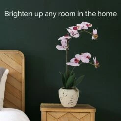 Best Sale 💯 Mikasa® 22 Inch Faux Orchid in Rustic Pot, Pink Spot 😉 -Mikasa Sales 2023 22 inch faux orchid in rustic pot pink spot 5291143 3