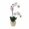 Best Sale 🧨 Mikasa® 22 Inch Faux Orchid in Rustic Pot, White and Pink 🌟 -Mikasa Sales 2023 22 inch faux orchid in rustic pot white and pink 5291144 1