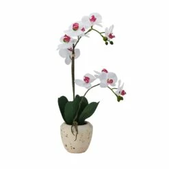 Best Sale 🧨 Mikasa® 22 Inch Faux Orchid in Rustic Pot, White and Pink 🌟