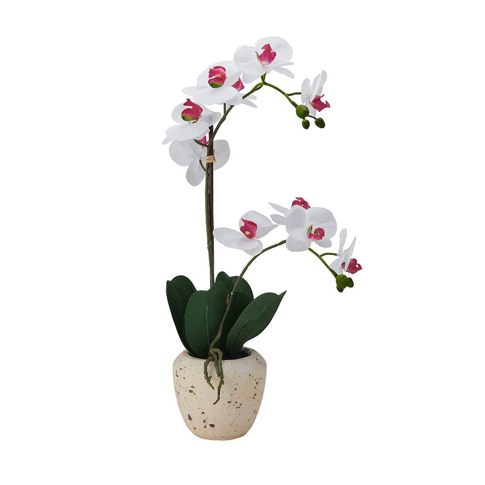 Best Sale 🧨 Mikasa® 22 Inch Faux Orchid in Rustic Pot, White and Pink 🌟 3 Best Sale 🧨 Mikasa® 22 Inch Faux Orchid in Rustic Pot, White and Pink 🌟