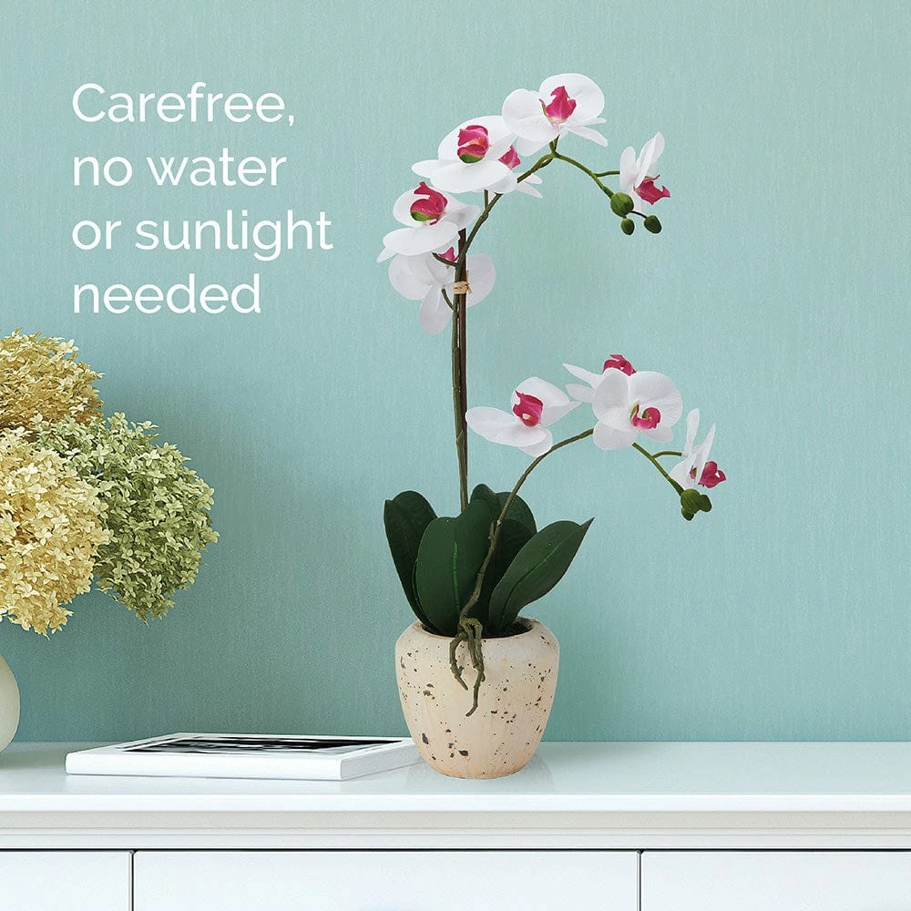 Best Sale 🧨 Mikasa® 22 Inch Faux Orchid in Rustic Pot, White and Pink 🌟 4 Best Sale 🧨 Mikasa® 22 Inch Faux Orchid in Rustic Pot, White and Pink 🌟 - Image 2