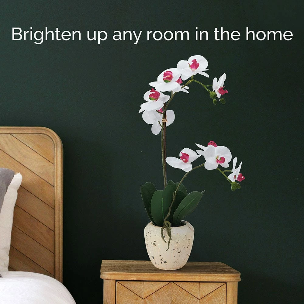 Best Sale 🧨 Mikasa® 22 Inch Faux Orchid in Rustic Pot, White and Pink 🌟 5 Best Sale 🧨 Mikasa® 22 Inch Faux Orchid in Rustic Pot, White and Pink 🌟 - Image 3