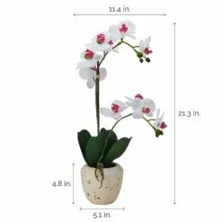 Best Sale 🧨 Mikasa® 22 Inch Faux Orchid in Rustic Pot, White and Pink 🌟 9 Best Sale 🧨 Mikasa® 22 Inch Faux Orchid in Rustic Pot, White and Pink 🌟 -Mikasa Sales 2023 22 inch faux orchid in rustic pot white and pink 5291144 4