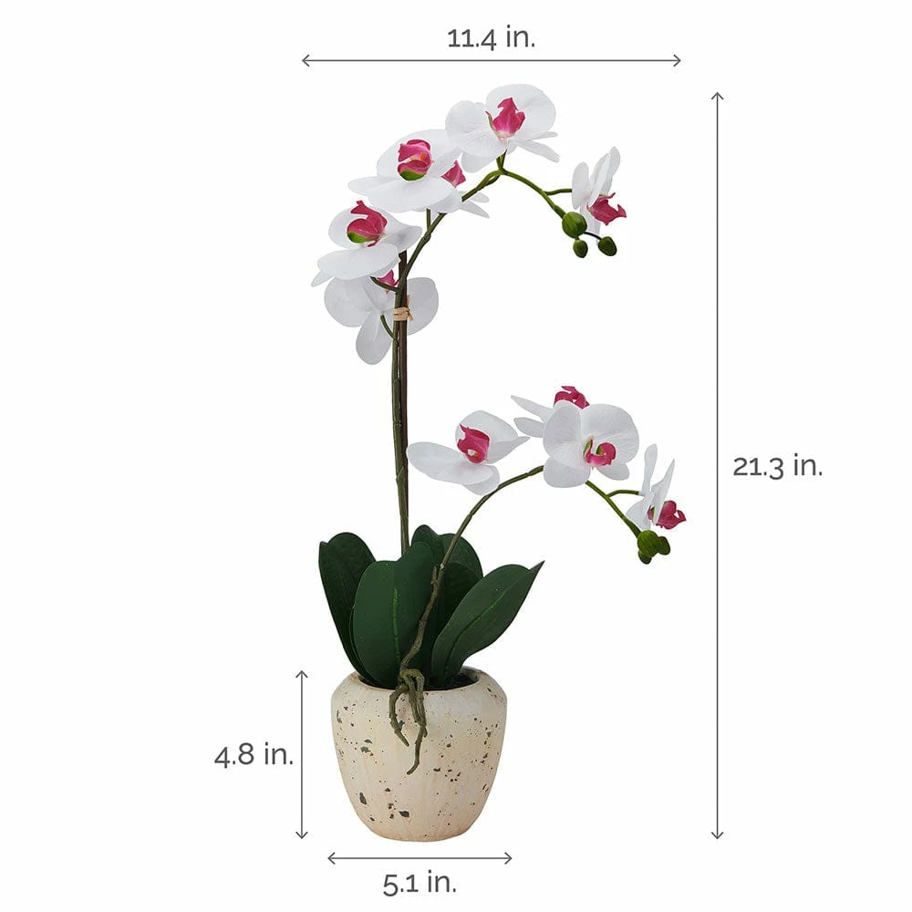 Best Sale 🧨 Mikasa® 22 Inch Faux Orchid in Rustic Pot, White and Pink 🌟 6 Best Sale 🧨 Mikasa® 22 Inch Faux Orchid in Rustic Pot, White and Pink 🌟 - Image 4