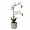 Wholesale 👍 Mikasa® 22 Inch Faux Orchid in Rustic Pot, White and Yellow 💯 1 Wholesale 👍 Mikasa® 22 Inch Faux Orchid in Rustic Pot, White and Yellow 💯 -Mikasa Sales 2023 22 inch faux orchid in rustic pot white and yellow 5265189 1