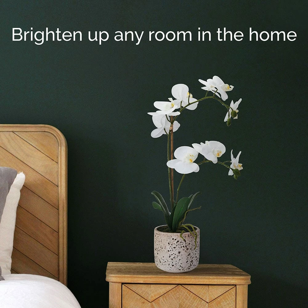 Wholesale 👍 Mikasa® 22 Inch Faux Orchid in Rustic Pot, White and Yellow 💯 4 Wholesale 👍 Mikasa® 22 Inch Faux Orchid in Rustic Pot, White and Yellow 💯 - Image 2