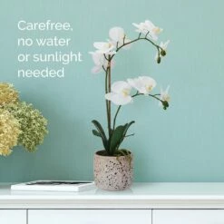 Wholesale 👍 Mikasa® 22 Inch Faux Orchid in Rustic Pot, White and Yellow 💯 8 Wholesale 👍 Mikasa® 22 Inch Faux Orchid in Rustic Pot, White and Yellow 💯 -Mikasa Sales 2023 22 inch faux orchid in rustic pot white and yellow 5265189 3