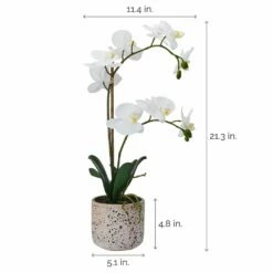 Wholesale 👍 Mikasa® 22 Inch Faux Orchid in Rustic Pot, White and Yellow 💯 9 Wholesale 👍 Mikasa® 22 Inch Faux Orchid in Rustic Pot, White and Yellow 💯 -Mikasa Sales 2023 22 inch faux orchid in rustic pot white and yellow 5265189 4