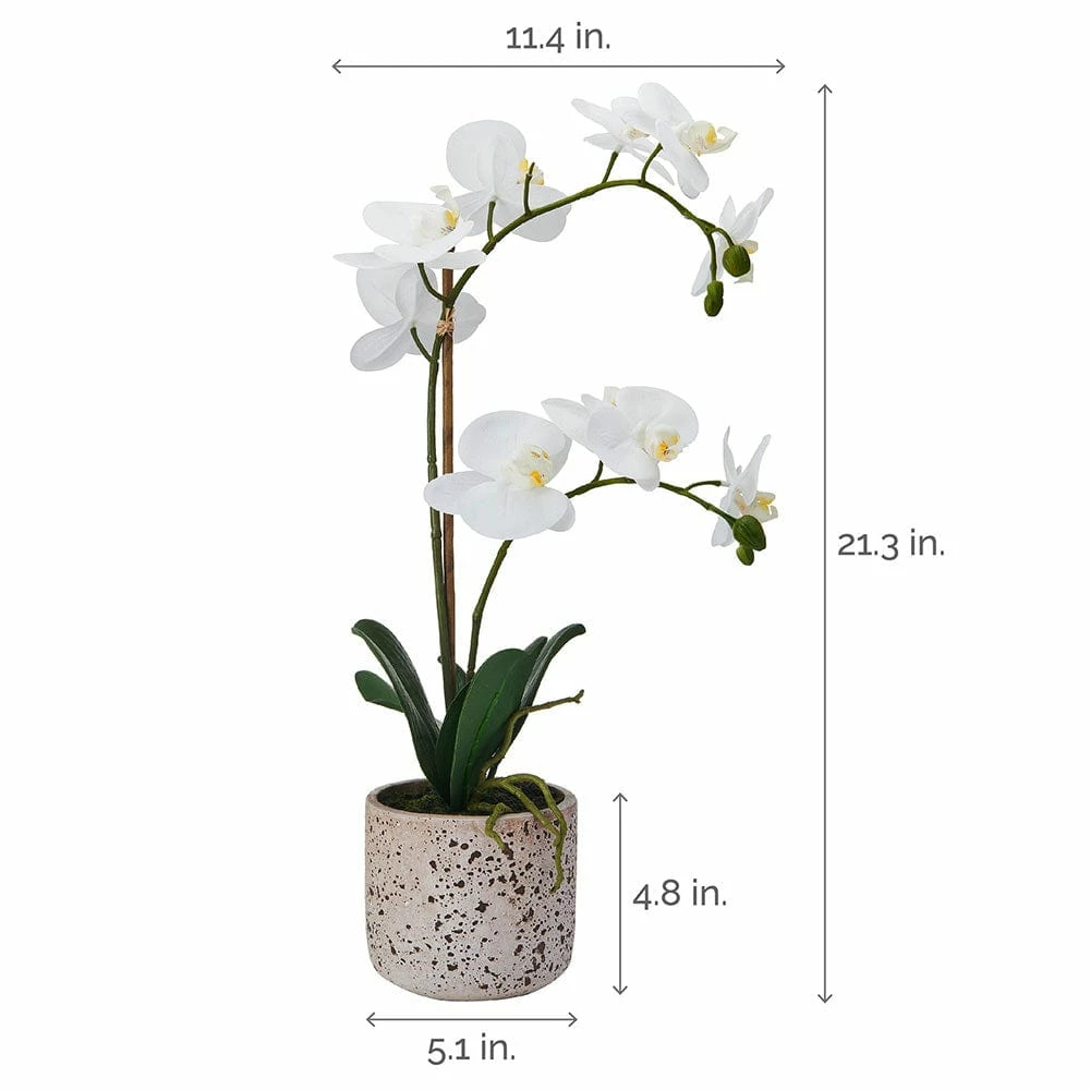Wholesale 👍 Mikasa® 22 Inch Faux Orchid in Rustic Pot, White and Yellow 💯 6 Wholesale 👍 Mikasa® 22 Inch Faux Orchid in Rustic Pot, White and Yellow 💯 - Image 4