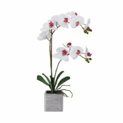 Coupon 🤩 Mikasa® 22 Inch Faux Orchid in Square Pot, White and Pink ⌛