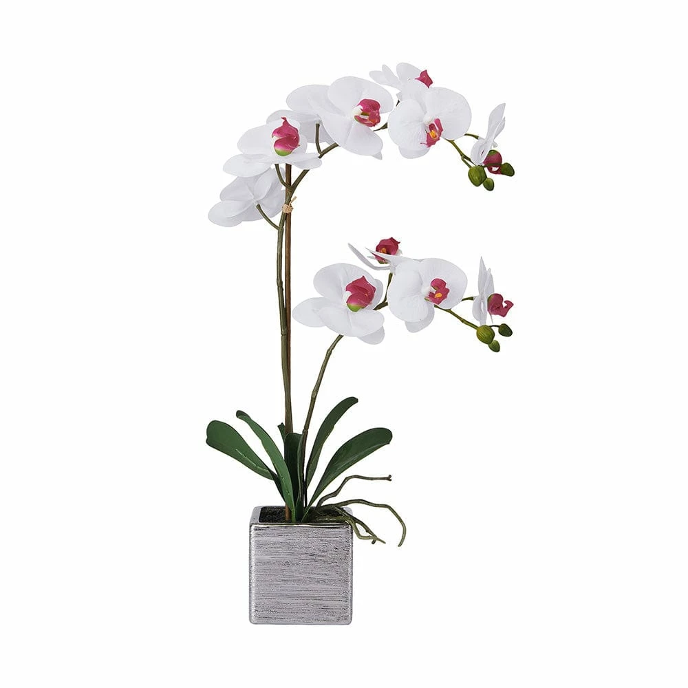 Coupon 🤩 Mikasa® 22 Inch Faux Orchid in Square Pot, White and Pink ⌛ 3 Coupon 🤩 Mikasa® 22 Inch Faux Orchid in Square Pot, White and Pink ⌛
