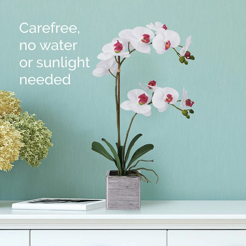 Coupon 🤩 Mikasa® 22 Inch Faux Orchid in Square Pot, White and Pink ⌛ 4 Coupon 🤩 Mikasa® 22 Inch Faux Orchid in Square Pot, White and Pink ⌛ - Image 2