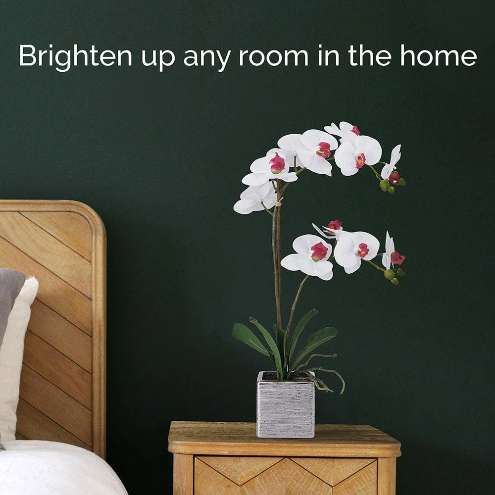 Coupon 🤩 Mikasa® 22 Inch Faux Orchid in Square Pot, White and Pink ⌛ 5 Coupon 🤩 Mikasa® 22 Inch Faux Orchid in Square Pot, White and Pink ⌛ - Image 3