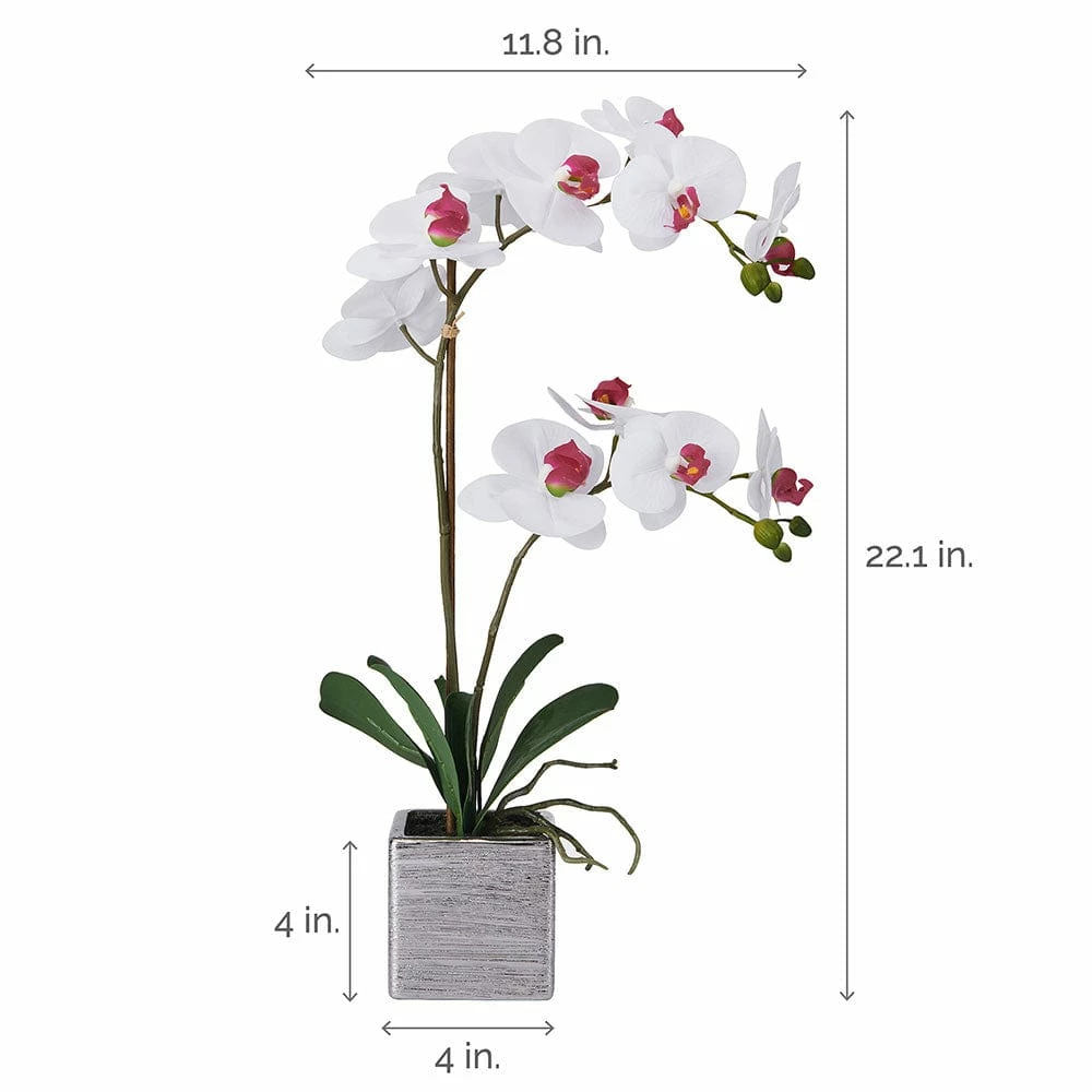 Coupon 🤩 Mikasa® 22 Inch Faux Orchid in Square Pot, White and Pink ⌛ 6 Coupon 🤩 Mikasa® 22 Inch Faux Orchid in Square Pot, White and Pink ⌛ - Image 4