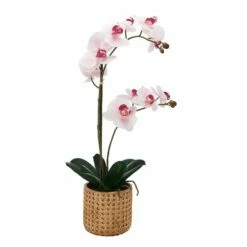 Top 10 ✔️ Mikasa® 22 Inch Faux Orchid in Tan Pot, Watercolor Pink 😉