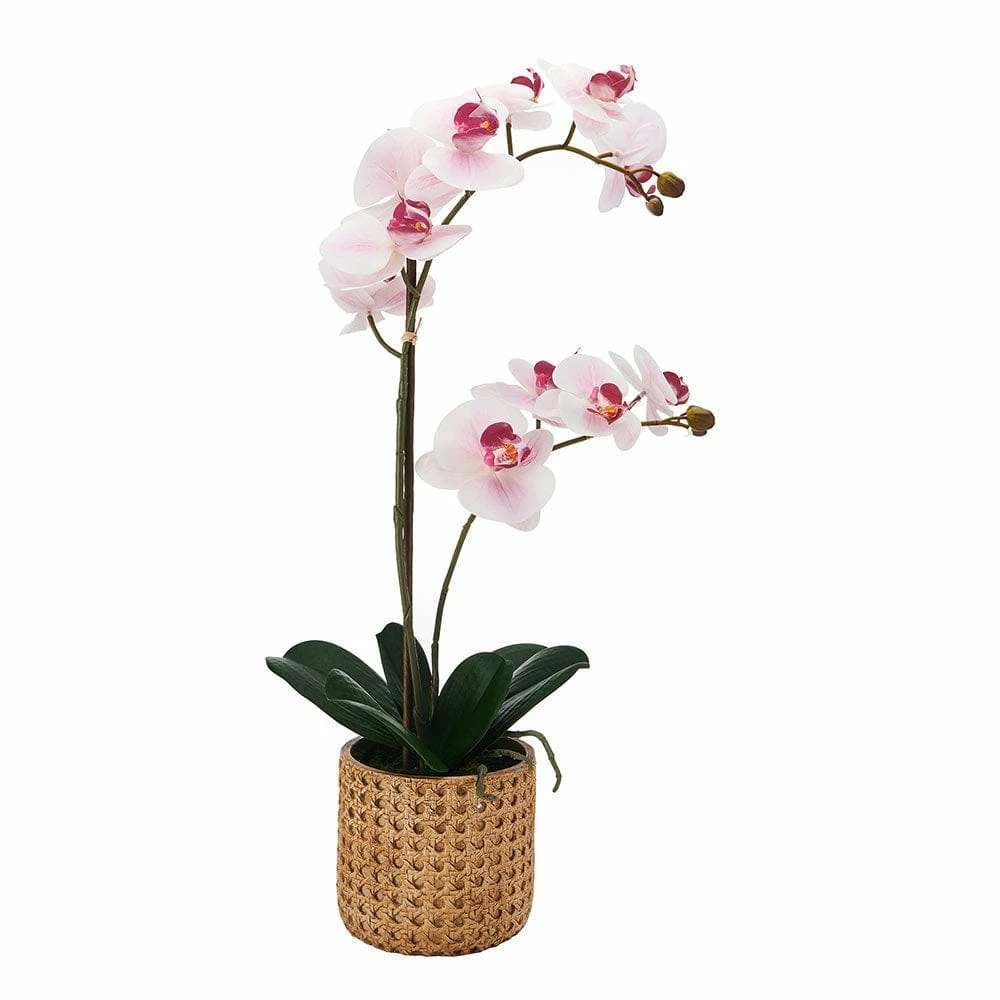 Top 10 ✔️ Mikasa® 22 Inch Faux Orchid in Tan Pot, Watercolor Pink 😉 3 Top 10 ✔️ Mikasa® 22 Inch Faux Orchid in Tan Pot, Watercolor Pink 😉