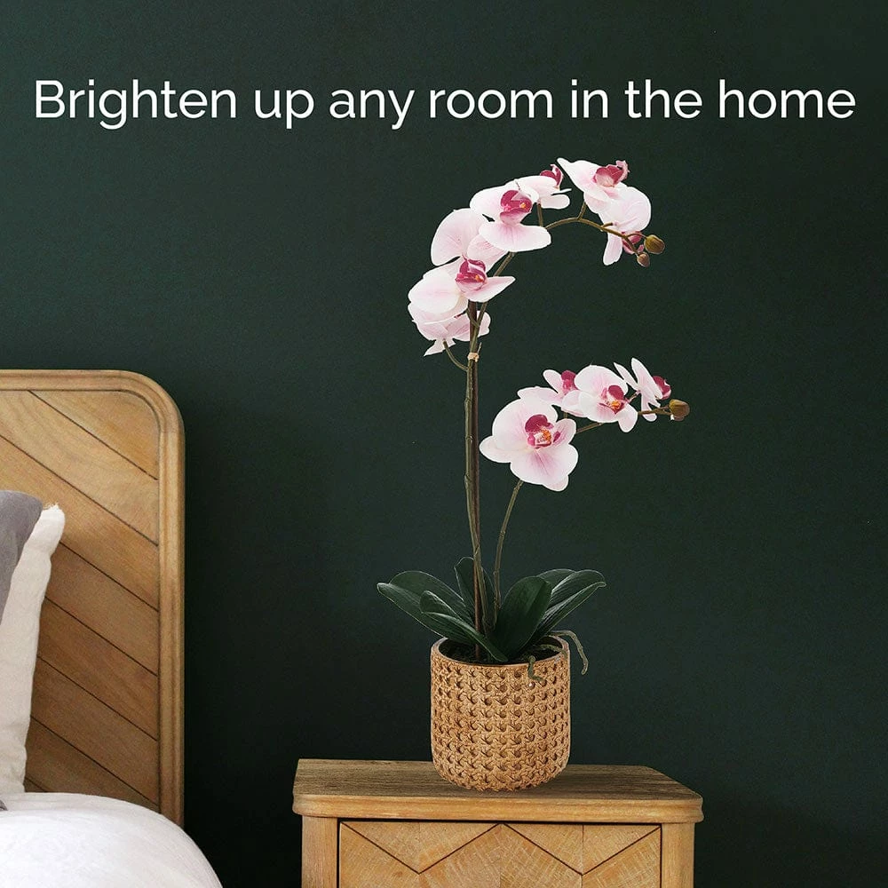 Top 10 ✔️ Mikasa® 22 Inch Faux Orchid in Tan Pot, Watercolor Pink 😉 4 Top 10 ✔️ Mikasa® 22 Inch Faux Orchid in Tan Pot, Watercolor Pink 😉 - Image 2