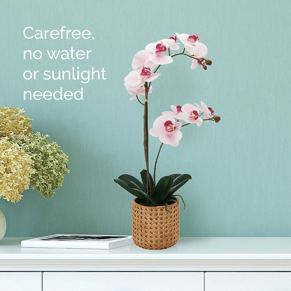 Top 10 ✔️ Mikasa® 22 Inch Faux Orchid in Tan Pot, Watercolor Pink 😉 5 Top 10 ✔️ Mikasa® 22 Inch Faux Orchid in Tan Pot, Watercolor Pink 😉 - Image 3