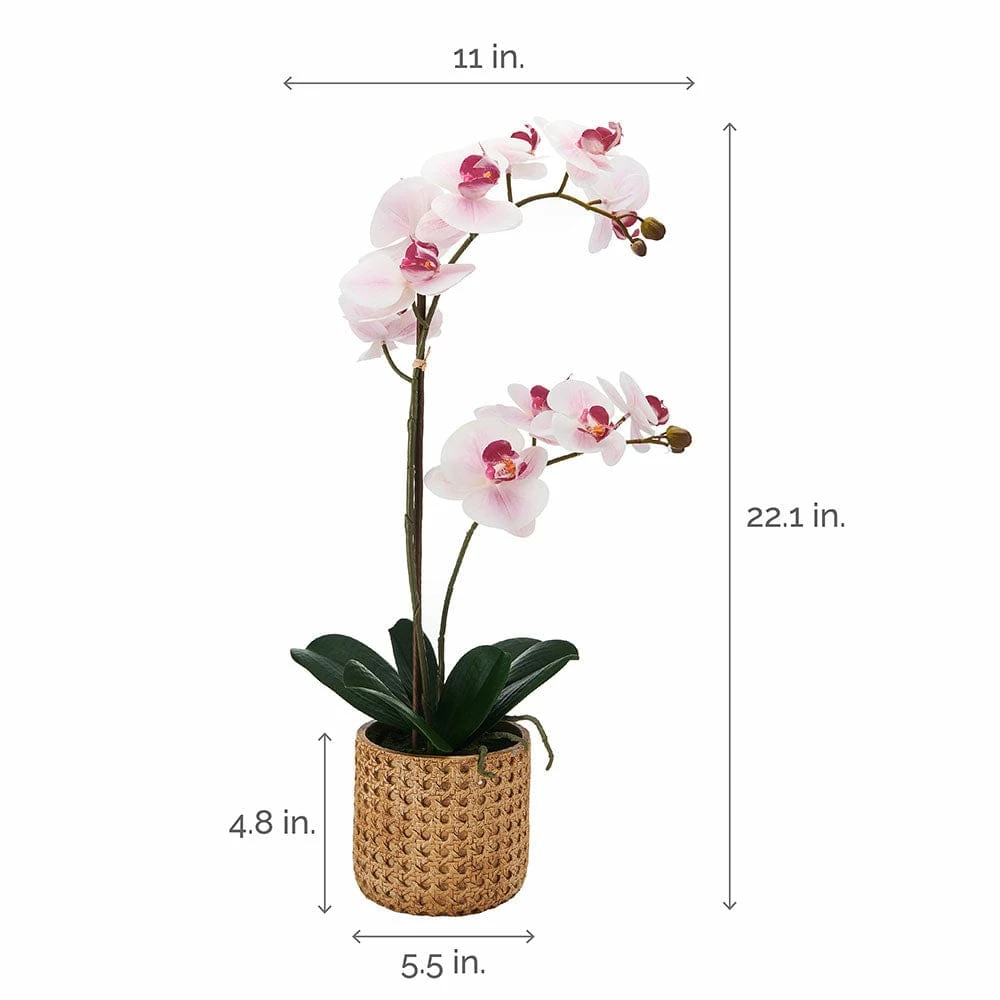 Top 10 ✔️ Mikasa® 22 Inch Faux Orchid in Tan Pot, Watercolor Pink 😉 6 Top 10 ✔️ Mikasa® 22 Inch Faux Orchid in Tan Pot, Watercolor Pink 😉 - Image 4