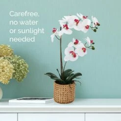 Best Pirce 🌟 Mikasa® 22 Inch Faux Orchid in Tan Pot, White and Pink 😉 -Mikasa Sales 2023 22 inch faux orchid in tan pot white and pink 5293729 3