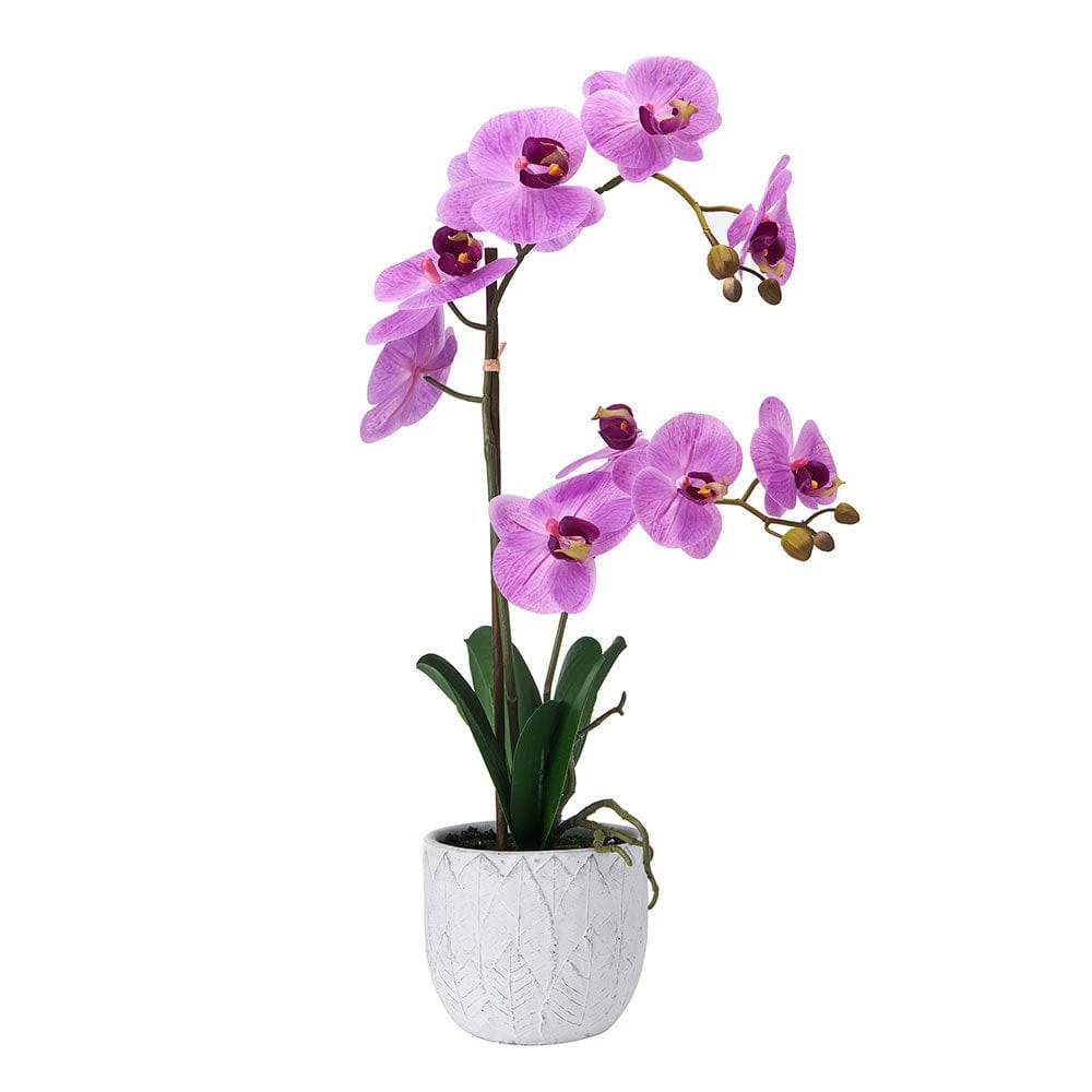 Best deal 🥰 Mikasa® 22 Inch Faux Orchid in White Leaf Pot, Fuchsia ⌛ 3 Best deal 🥰 Mikasa® 22 Inch Faux Orchid in White Leaf Pot, Fuchsia ⌛