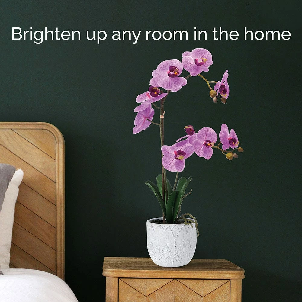 Best deal 🥰 Mikasa® 22 Inch Faux Orchid in White Leaf Pot, Fuchsia ⌛ 4 Best deal 🥰 Mikasa® 22 Inch Faux Orchid in White Leaf Pot, Fuchsia ⌛ - Image 2