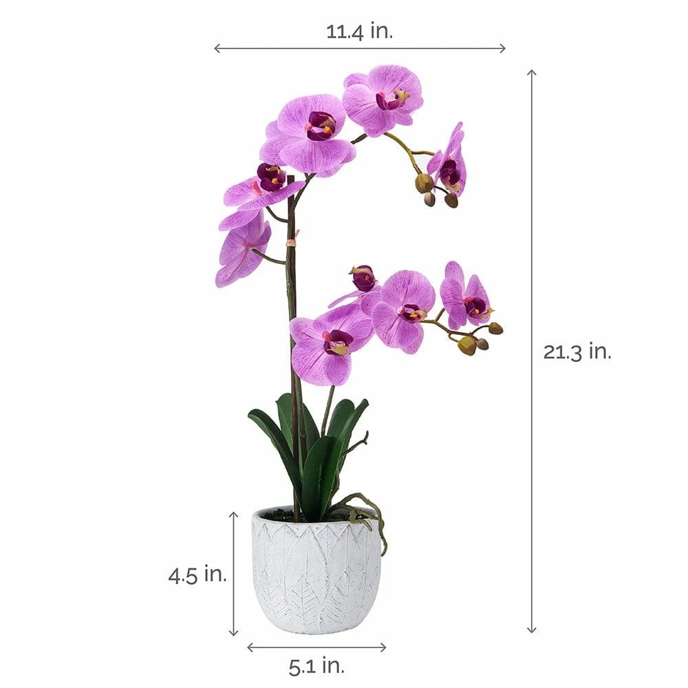 Best deal 🥰 Mikasa® 22 Inch Faux Orchid in White Leaf Pot, Fuchsia ⌛ 6 Best deal 🥰 Mikasa® 22 Inch Faux Orchid in White Leaf Pot, Fuchsia ⌛ - Image 4