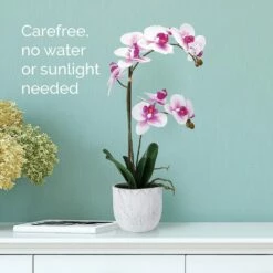 Outlet 🎁 Mikasa® 22 Inch Faux Orchid in White Leaf Pot, White and Fuchsia 💯 -Mikasa Sales 2023 22 inch faux orchid in white leaf pot white and fuchsia 5291140 3