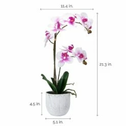 Outlet 🎁 Mikasa® 22 Inch Faux Orchid in White Leaf Pot, White and Fuchsia 💯 -Mikasa Sales 2023 22 inch faux orchid in white leaf pot white and fuchsia 5291140 4