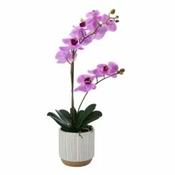 Best Pirce 💯 Mikasa® 22 Inch Faux Orchid in White Pot, Fuchsia 😀