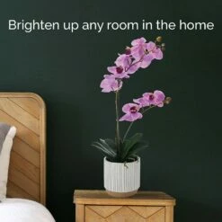 Best Pirce 💯 Mikasa® 22 Inch Faux Orchid in White Pot, Fuchsia 😀 -Mikasa Sales 2023 22 inch faux orchid in white pot fuchsia 5293716 3