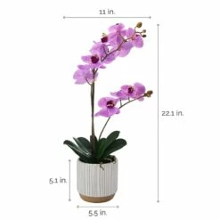 Best Pirce 💯 Mikasa® 22 Inch Faux Orchid in White Pot, Fuchsia 😀 -Mikasa Sales 2023 22 inch faux orchid in white pot fuchsia 5293716 4