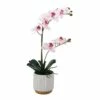 Promo 🛒 Mikasa® 22 Inch Faux Orchid in White Pot, Watercolor Pink 👏 2 Promo 🛒 Mikasa® 22 Inch Faux Orchid in White Pot, Watercolor Pink 👏 -Mikasa Sales 2023 22 inch faux orchid in white pot watercolor pink 5293715 1