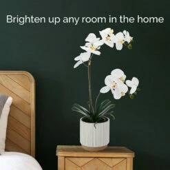 Discount 👍 Mikasa® 22 Inch Faux Orchid in White Pot, White and Yellow 🥰 -Mikasa Sales 2023 22 inch faux orchid in white pot white and yellow 5293717 3