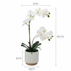 Discount 👍 Mikasa® 22 Inch Faux Orchid in White Pot, White and Yellow 🥰 -Mikasa Sales 2023 22 inch faux orchid in white pot white and yellow 5293717 4