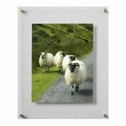 Cheapest 🤩 Mikasa® Acrylic and Gold Floating Wall Frame, 11 x 14 👏